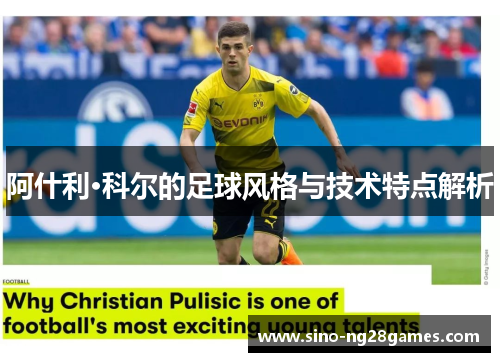 阿什利·科尔的足球风格与技术特点解析