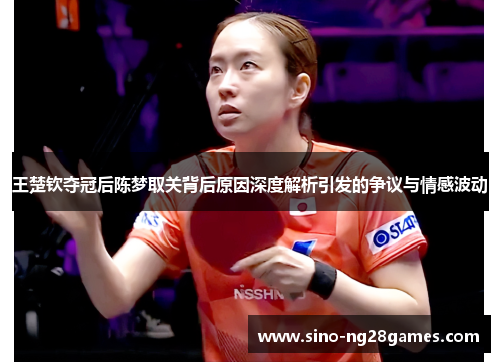 王楚钦夺冠后陈梦取关背后原因深度解析引发的争议与情感波动