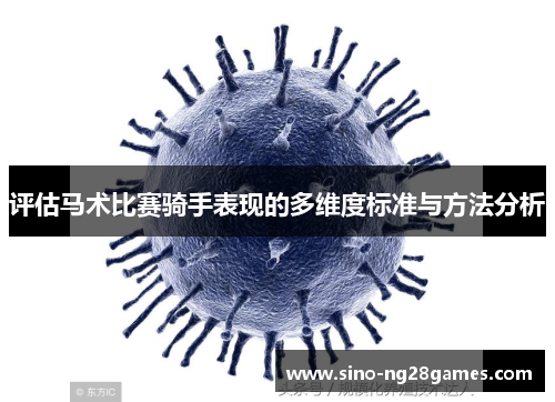 评估马术比赛骑手表现的多维度标准与方法分析 评估马术比赛骑手表现的多维度标准与方法分析
